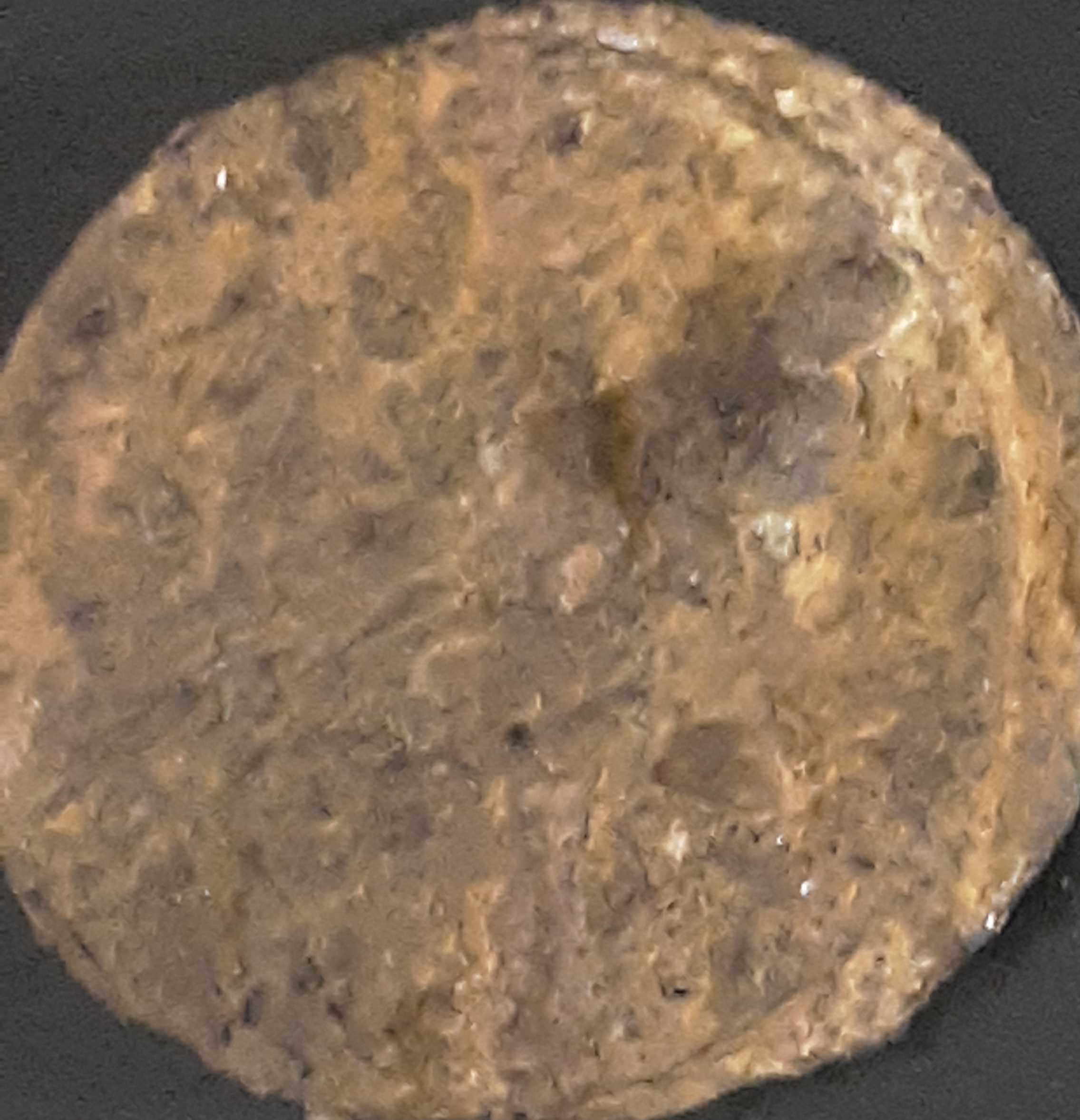Found-A-Bunch-Of-Coins-Buried-In-Back-Yard