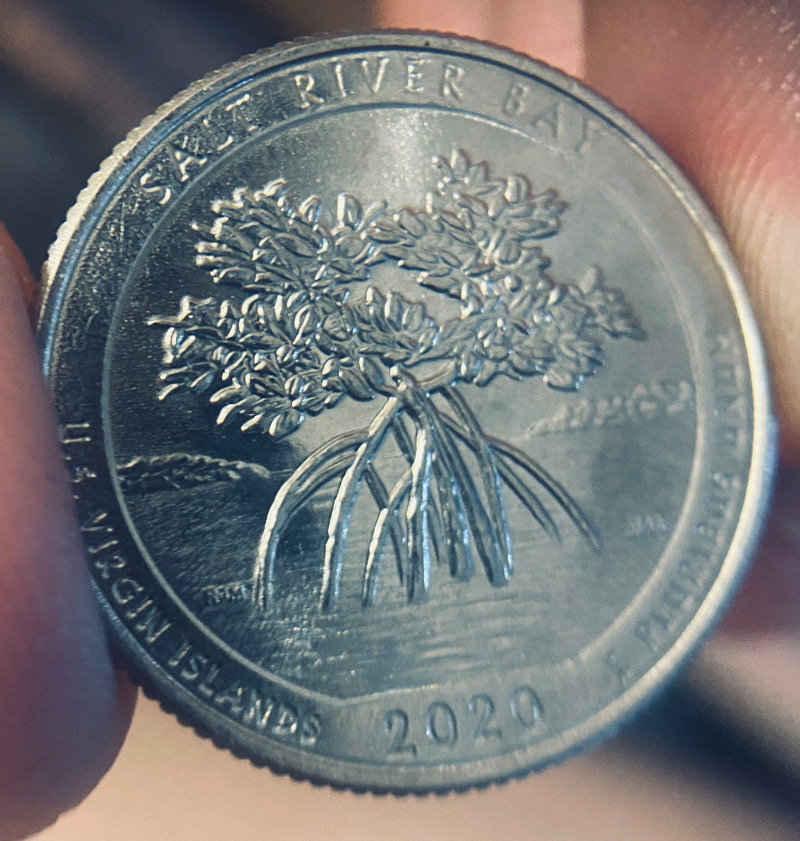 2020-Salt-River-Bay-ATB-Quarter