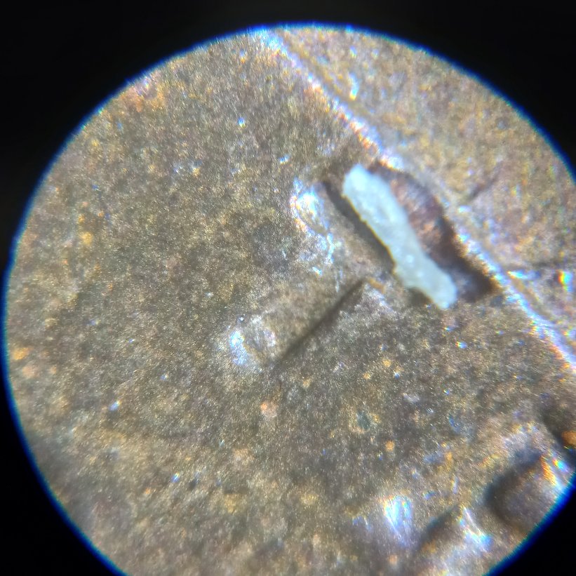 1916-P-LWC-Error?-Can-Find-One-Documented-To-Compare