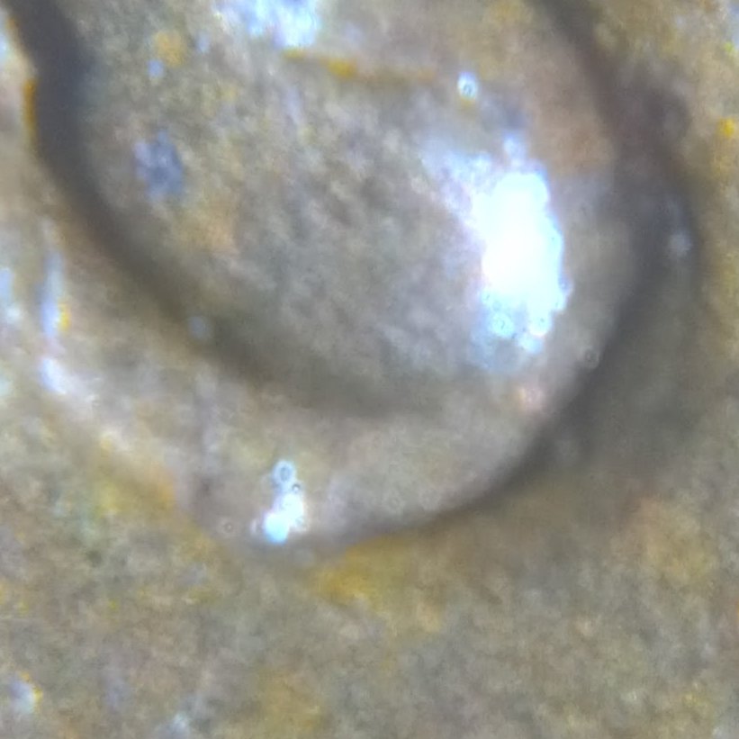 1916-P-LWC-Error?-Can-Find-One-Documented-To-Compare