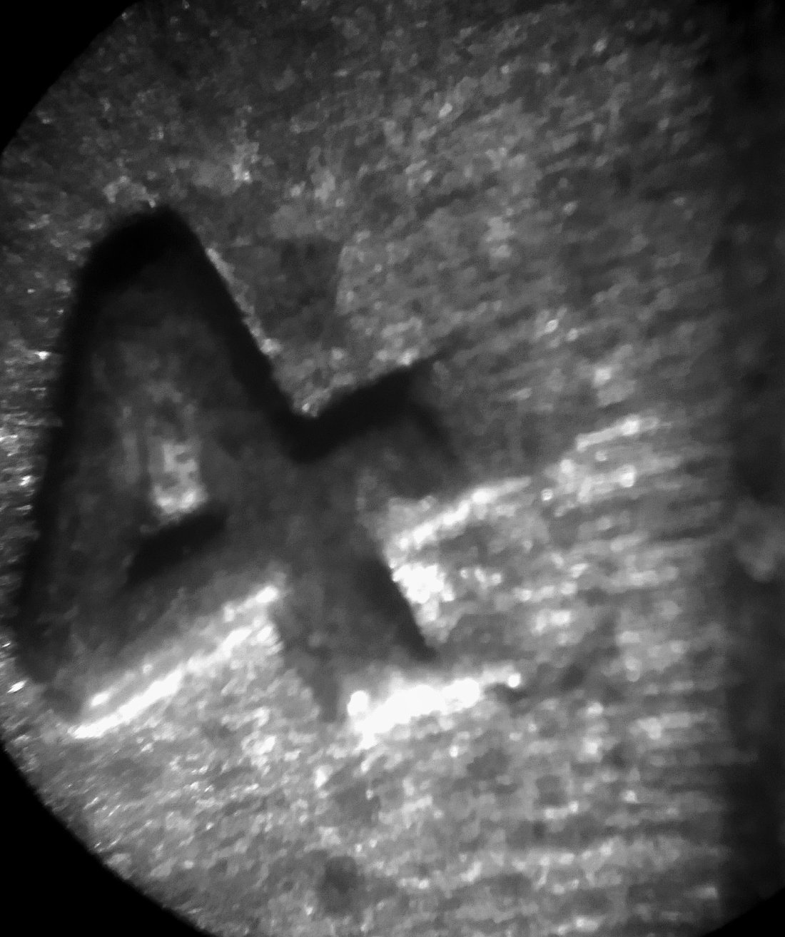 1954-S-Lincoln-Wheat-Cent