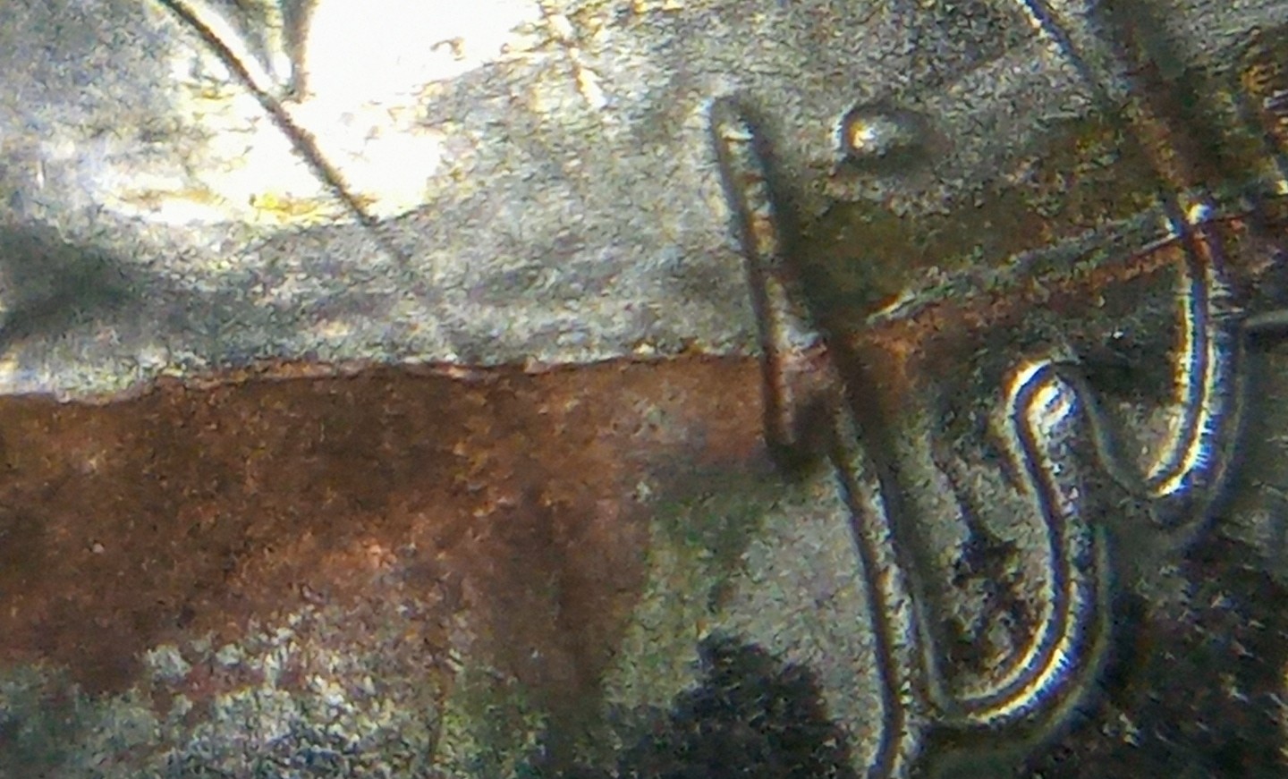 2016-D-Jefferson-Nickel-PMD-Or-Error?