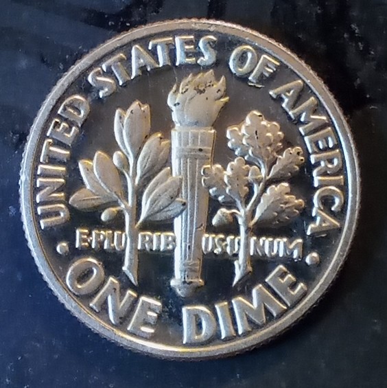 1981-S-Roosevelt-Dime.-Wondering-About-The-Discoloration-In-The-Y-Of-Liberty