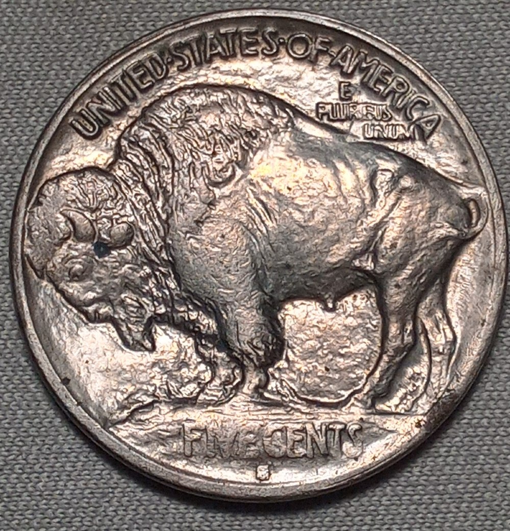 1913-S-Buffalo-Cent-For-Grading