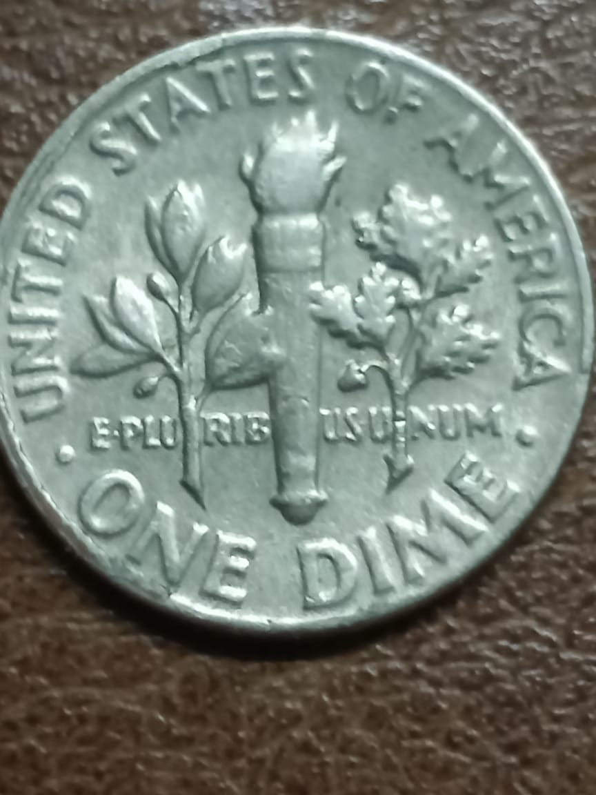 Are-These-Errors?i-Don't-Have-A-Clue-On-The-Dime-But-The-Other-One-Might-Be-Die-Related.