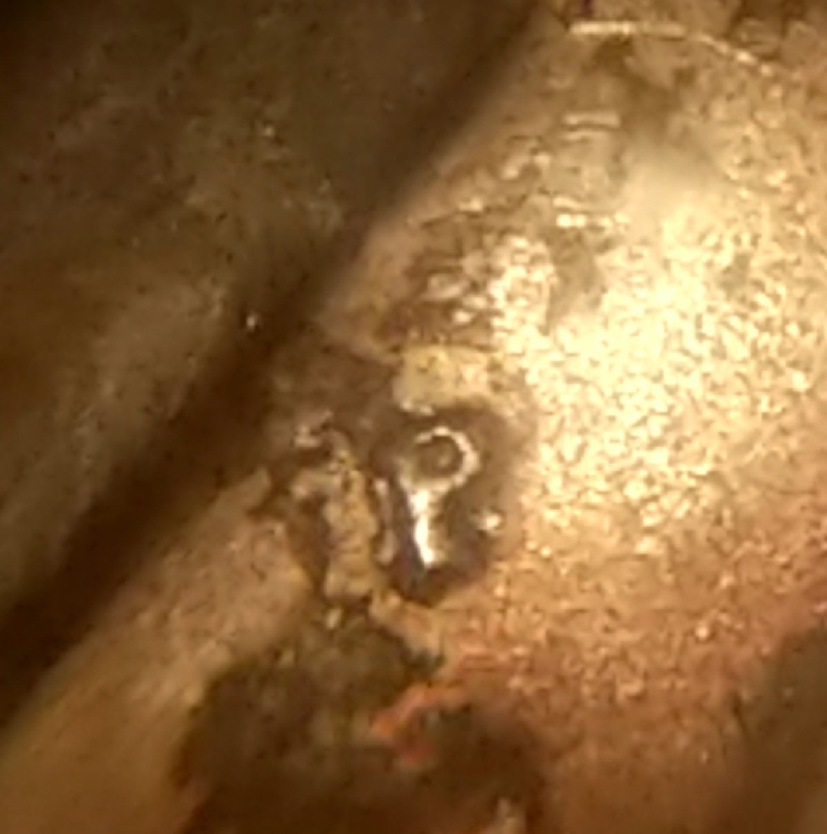 1981-Dime?-Looks-Terrible-But-Just-Wanted-Your-Thoughts-On-The-Mint-Mark