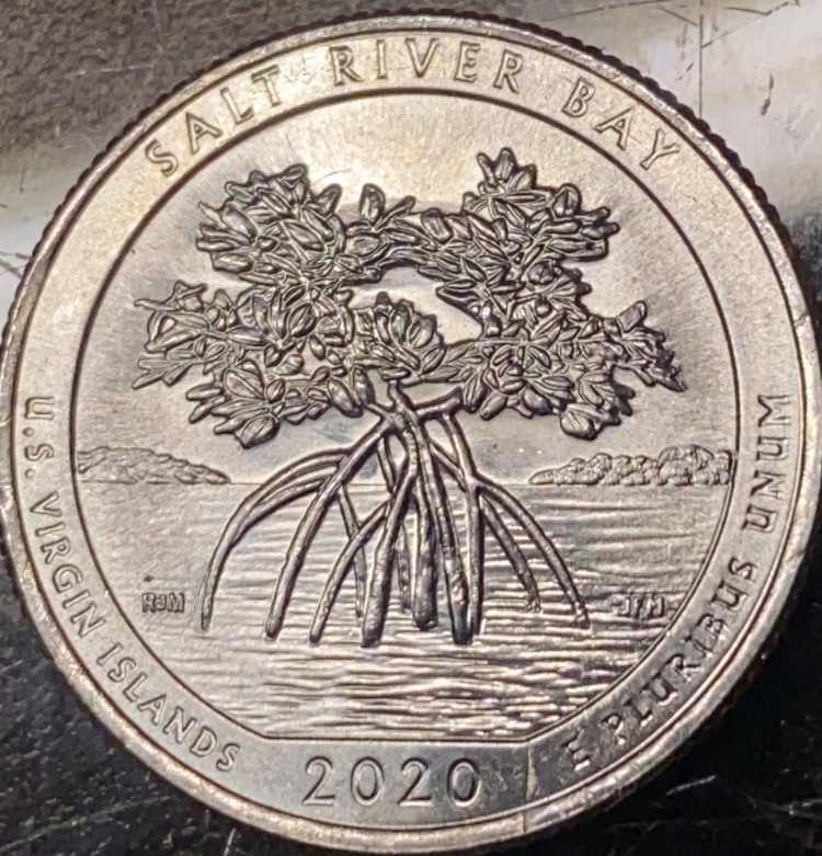 2020-Salt-River-Quarter--What-Are-All-These-Lines-?
