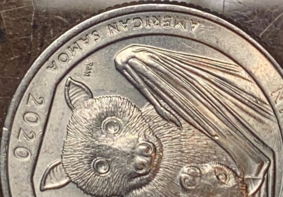 2020-Bat-Quarter-Doubling?