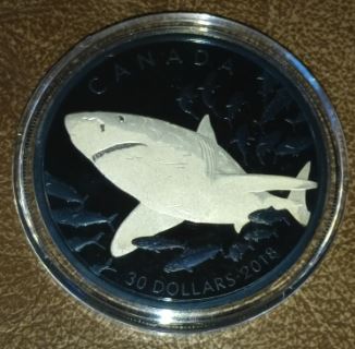 RCM-New-Release:-2018-2-Oz.-Pure-Silver-Coin-With-Selective-Blue-Rhodium-Plating---Great-White-Shark