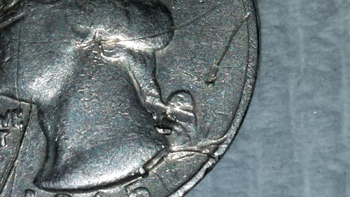 Help-With-This-Quarter.-Die-Gouges-Or-Just-Environmental?