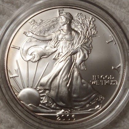 Dearborn's-American-Eagle-Coin-Collection.