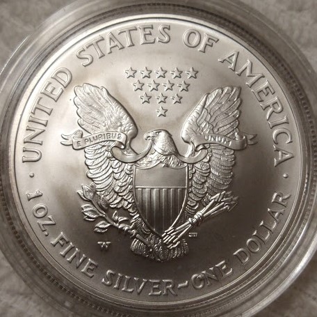 Dearborn's-American-Eagle-Coin-Collection.