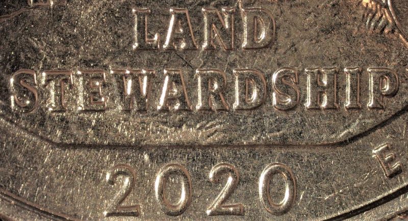 Die-Chip-Error-On-2020-Marsh-Quarter.
