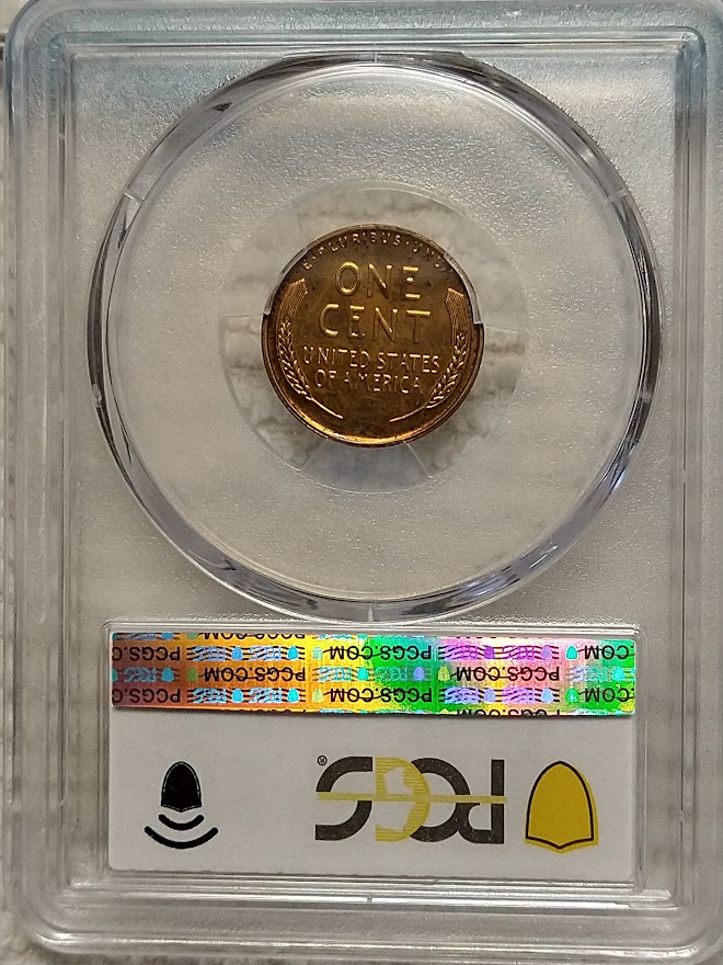 Continuing-List-To-Show-Everyones-Latest-Acquisitions