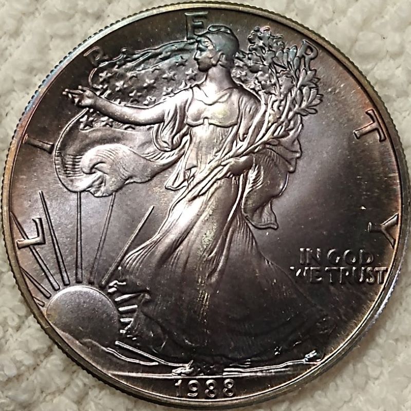 Dearborn's-American-Eagle-Coin-Collection.