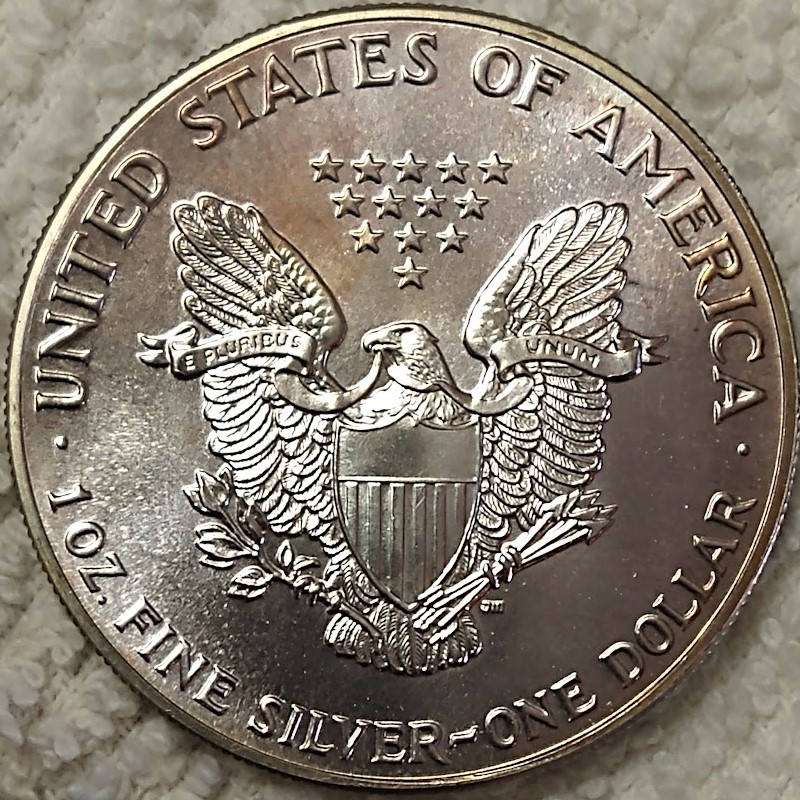 Dearborn's-American-Eagle-Coin-Collection.