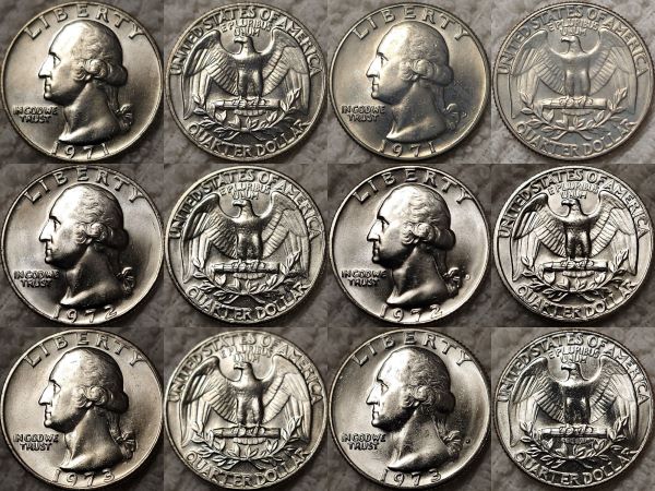 Dearborn's-Completed-Washington-Quarter-Dansco-Collection