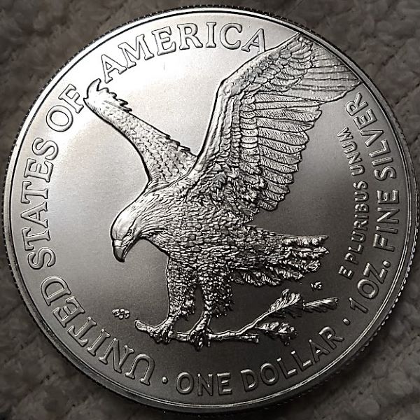 Dearborn's-American-Eagle-Coin-Collection.