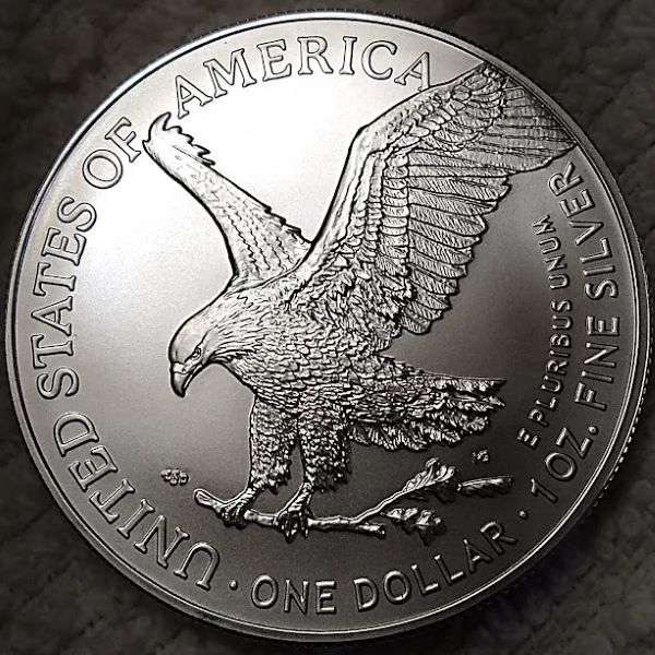 Dearborn's-American-Eagle-Coin-Collection.