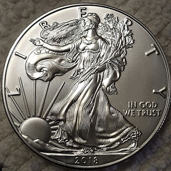Dearborn's-American-Eagle-Coin-Collection.