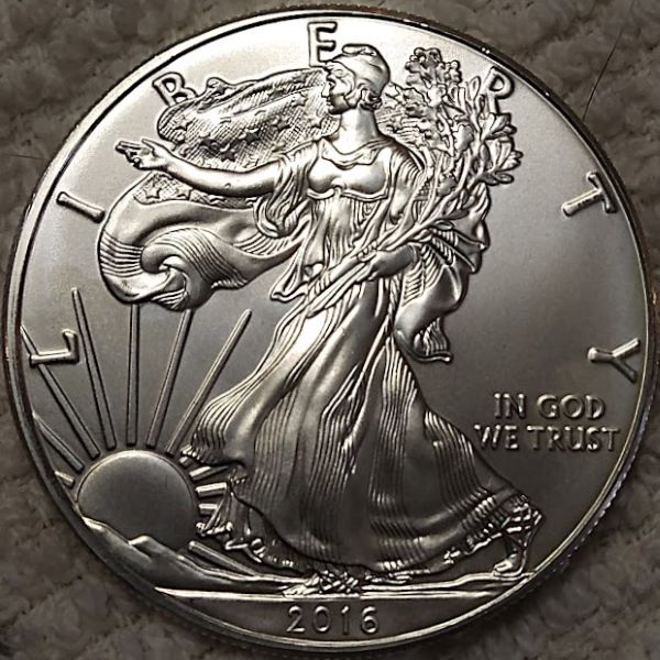 Dearborn's-American-Eagle-Coin-Collection.