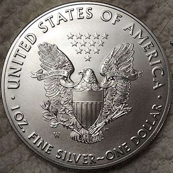 Dearborn's-American-Eagle-Coin-Collection.
