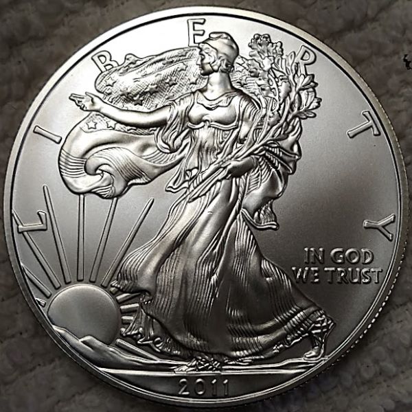 Dearborn's-American-Eagle-Coin-Collection.