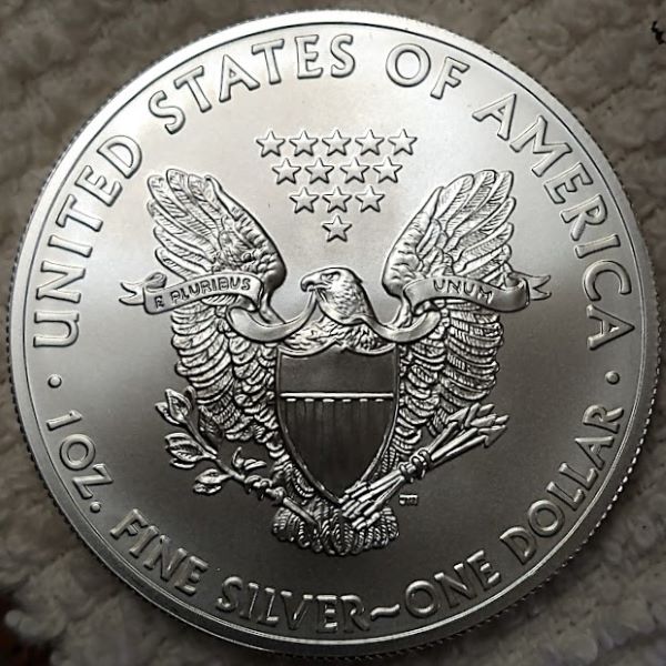 Dearborn's-American-Eagle-Coin-Collection.