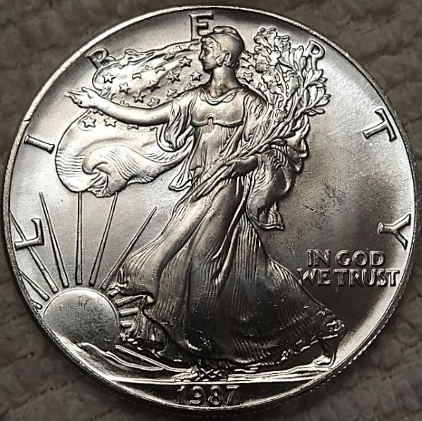 Dearborn's-American-Eagle-Coin-Collection.