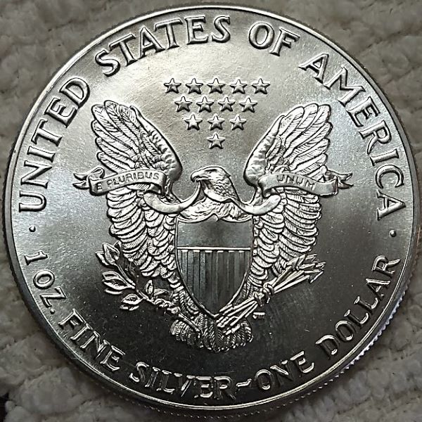 Dearborn's-American-Eagle-Coin-Collection.