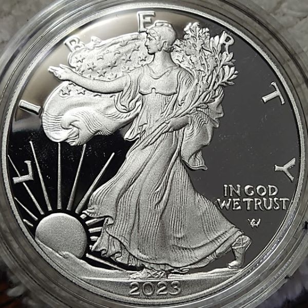 Dearborn's-American-Eagle-Coin-Collection.