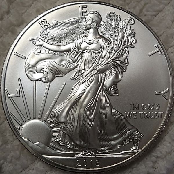 Dearborn's-American-Eagle-Coin-Collection.
