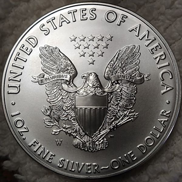 Dearborn's-American-Eagle-Coin-Collection.