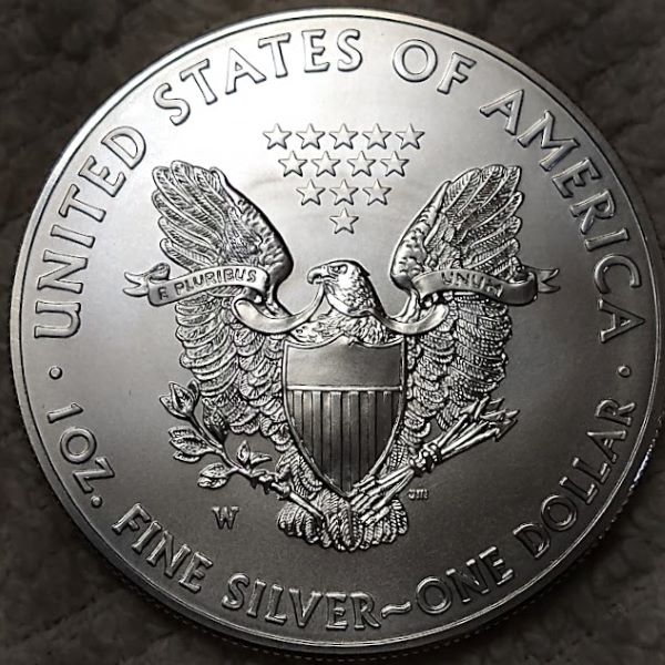 Dearborn's-American-Eagle-Coin-Collection.