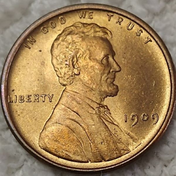 Dearborn's-Dansco-Lincoln-Cent--Collection
