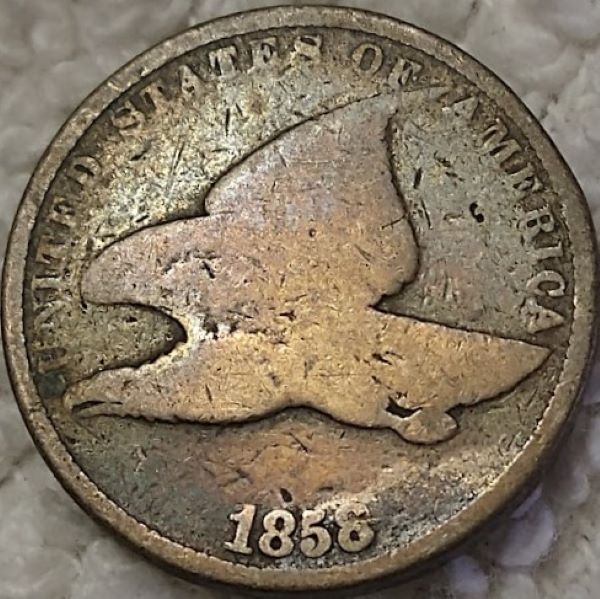 Dearborns-Dansco-7070-Project
