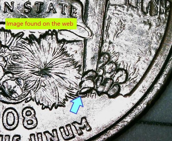 2008-D-Arizona-Extra-Leaf-Error/Maybe-Clad-Error?