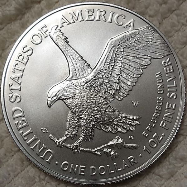 Dearborn's-American-Eagle-Coin-Collection.
