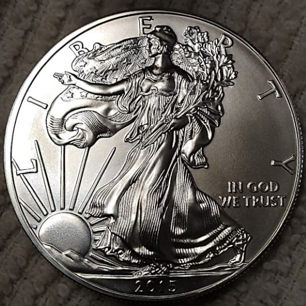 Dearborn's-American-Eagle-Coin-Collection.