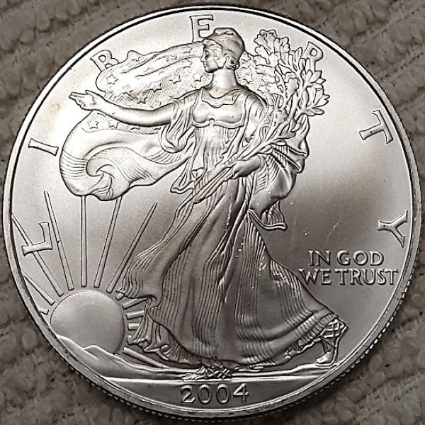 Dearborn's-American-Eagle-Coin-Collection.