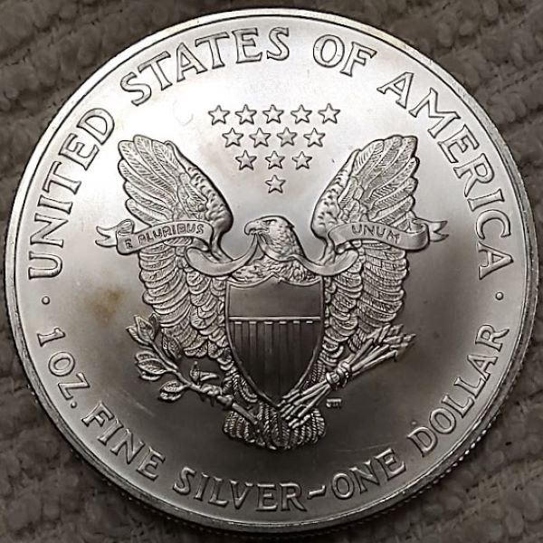 Dearborn's-American-Eagle-Coin-Collection.