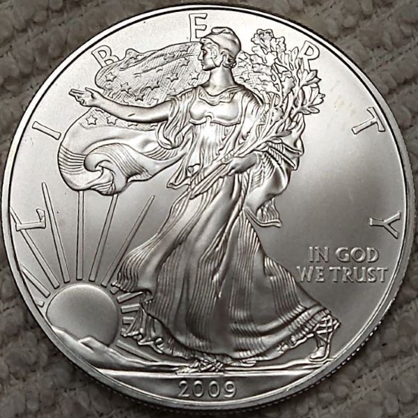 Dearborn's-American-Eagle-Coin-Collection.