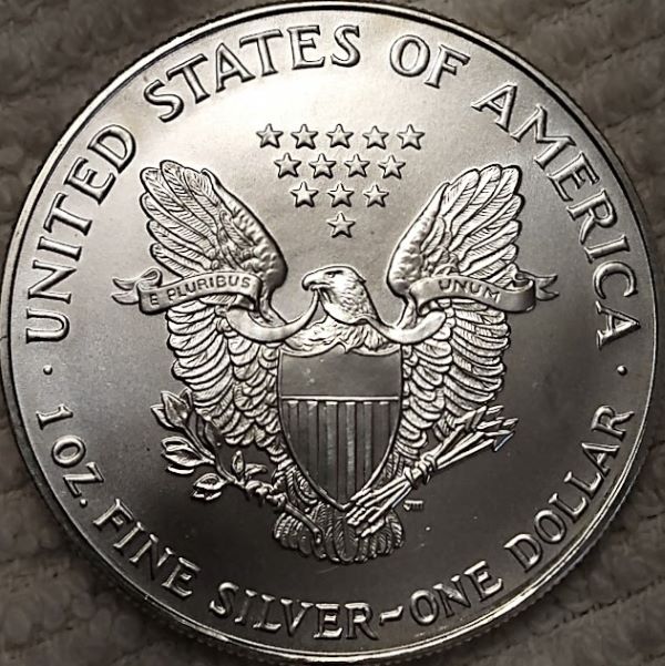 Dearborn's-American-Eagle-Coin-Collection.