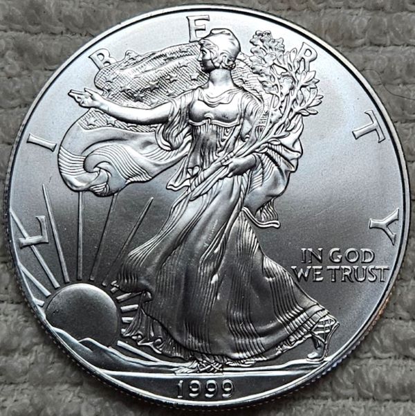 Dearborn's-American-Eagle-Coin-Collection.