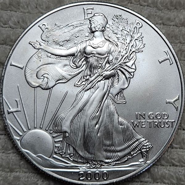 Dearborn's-American-Eagle-Coin-Collection.