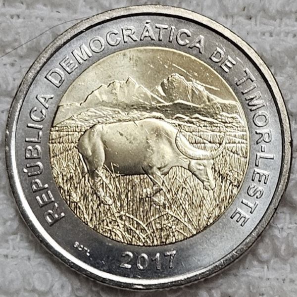Bring-Out-Your-KM#6-Or-Y#6-Coins-For-Show-&-Tell