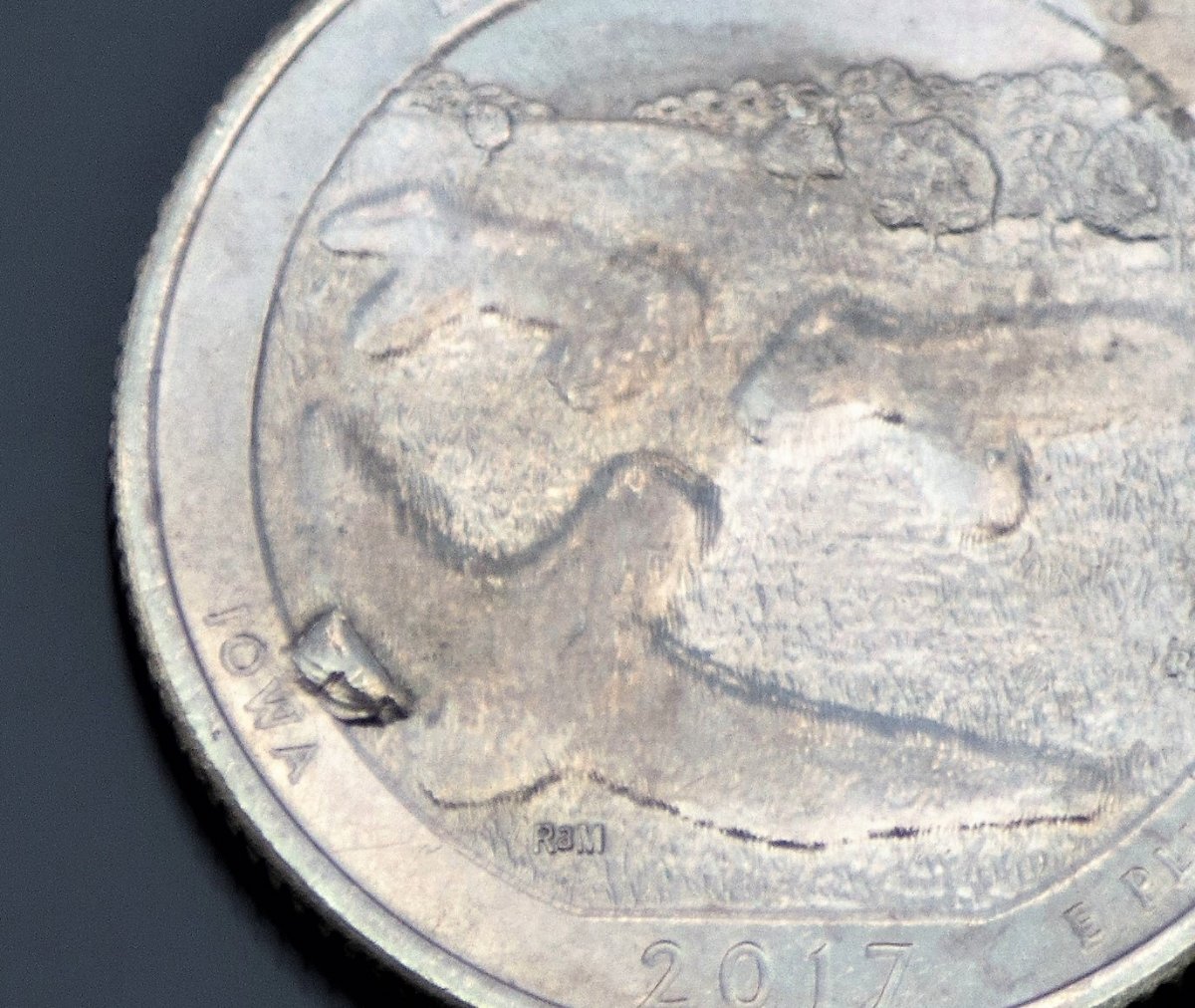 What-Kind-Of-Error-Is-This?-2017-Iowa-Atb-Quarter