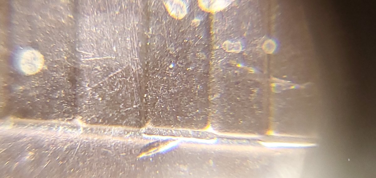 2021-D-Lincoln-Shield-Cent-Possible-DDR?