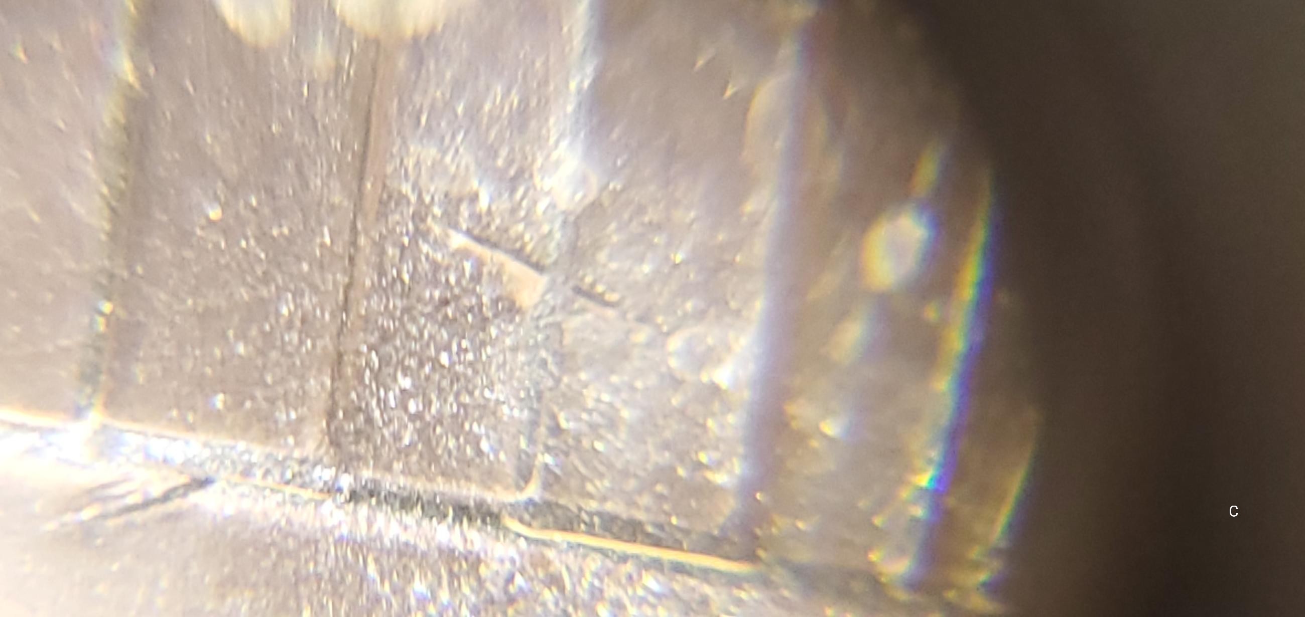 2021-D-Lincoln-Shield-Cent-Possible-DDR?