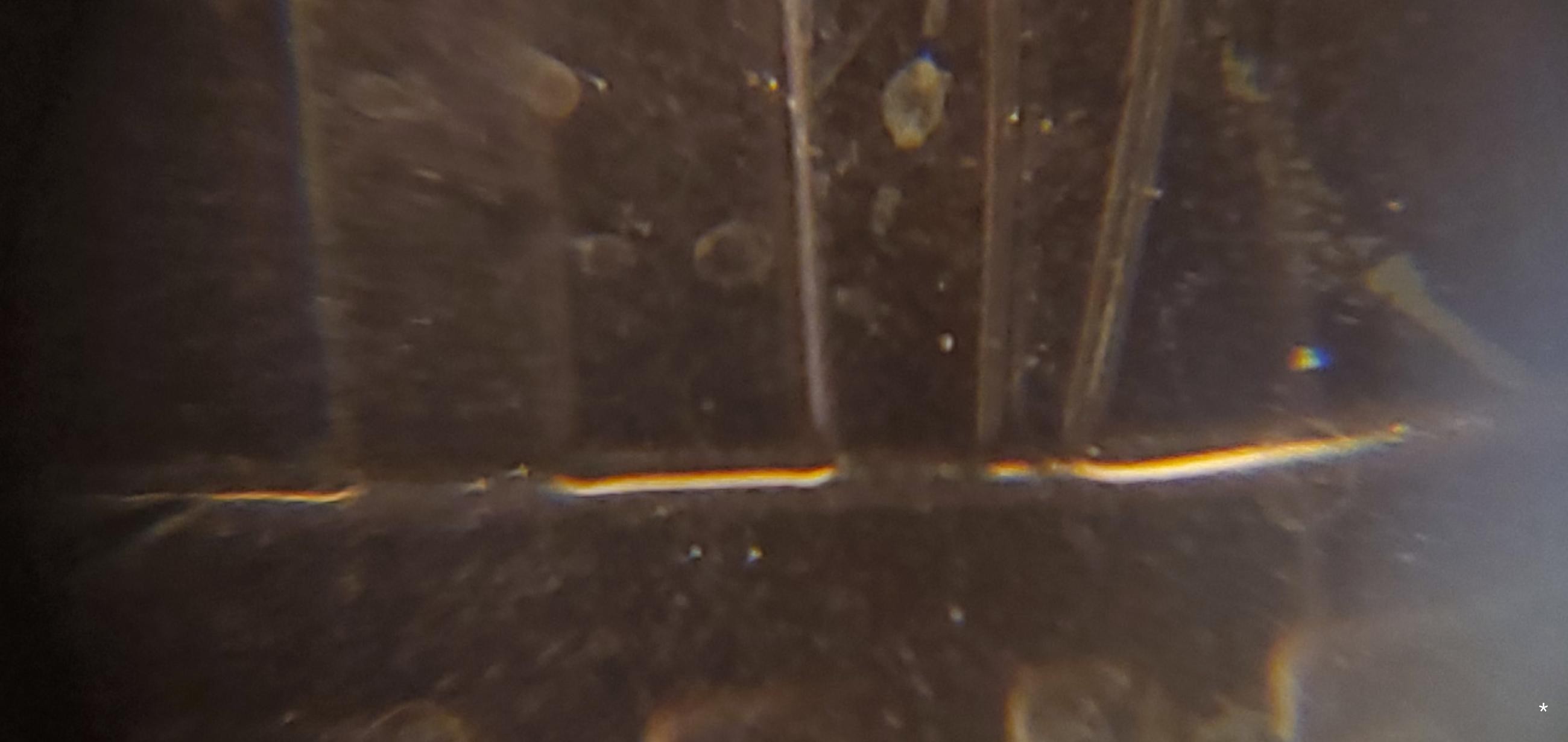 2021-D-Lincoln-Shield-Cent-Possible-DDR?